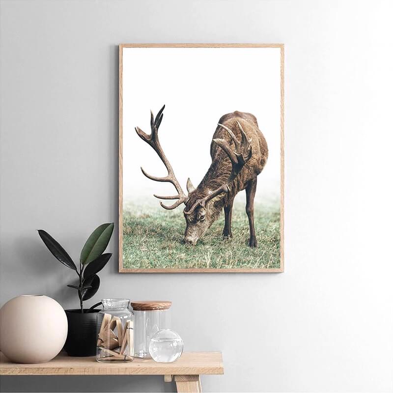 Woodland Story