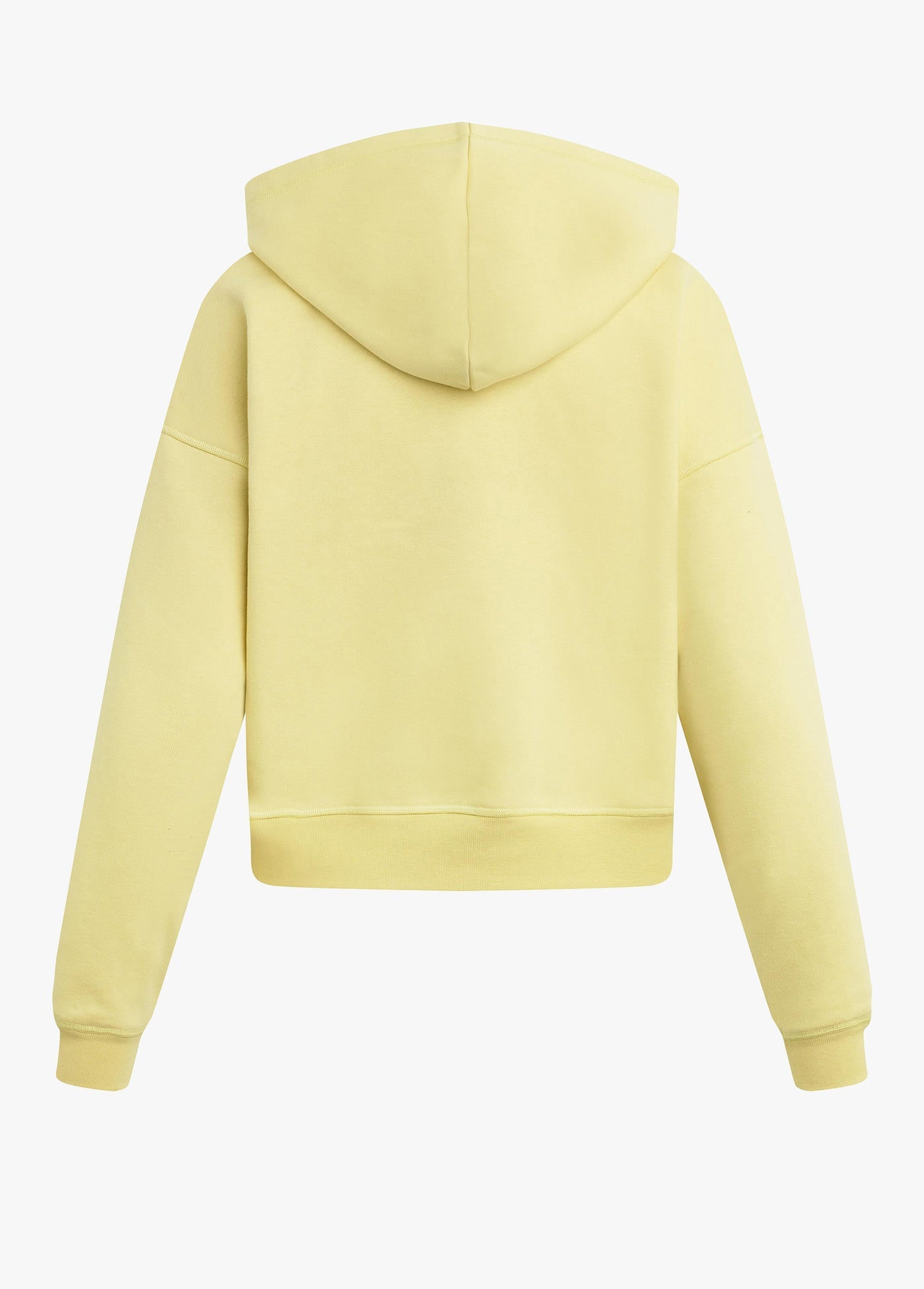 THE COLLEGIATE HOODIE