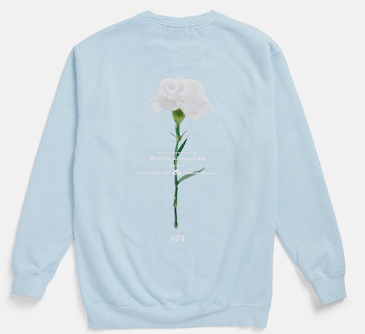 Priscilla Light Blue Embroidered Crewneck