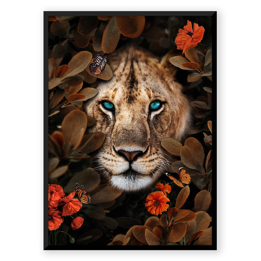 Animal Kingdom