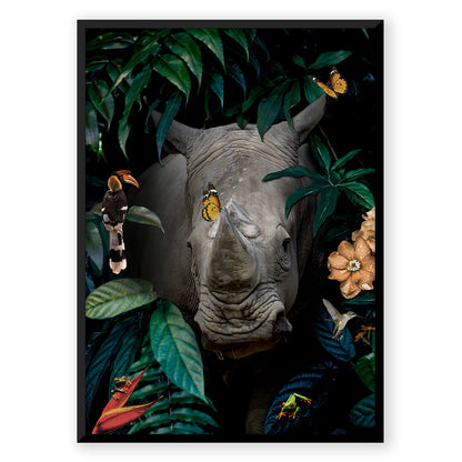 Animal Kingdom