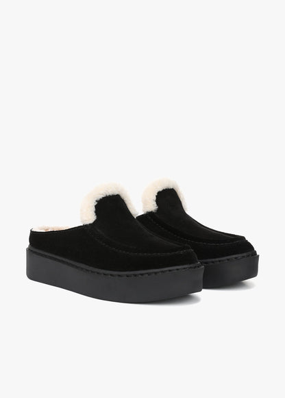 THE SUNNY PLATFORM MULE