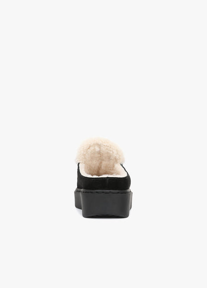 THE SUNNY PLATFORM MULE