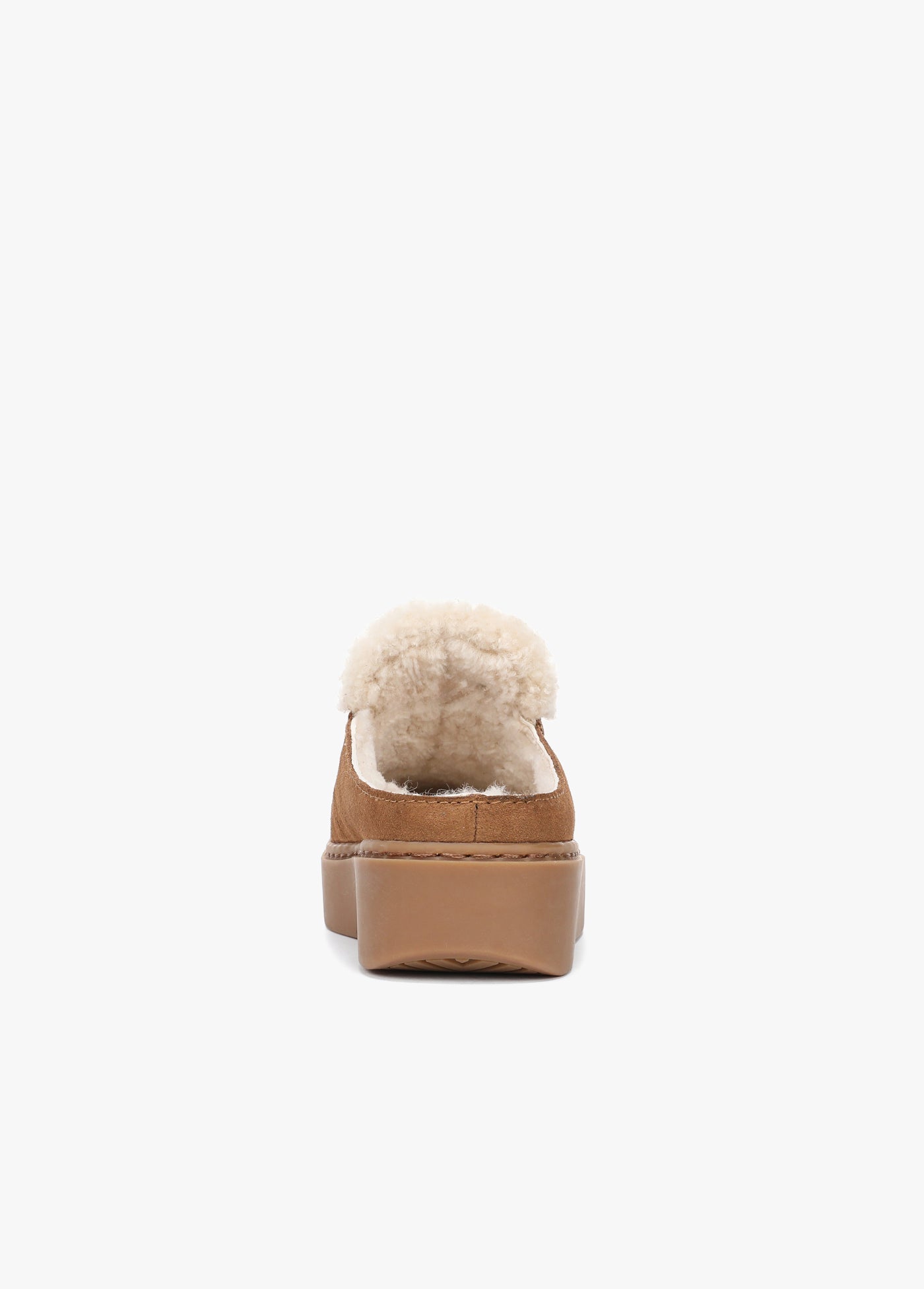 THE SUNNY PLATFORM MULE