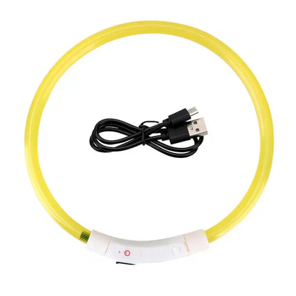 Dog Luminous Charge Collar Led Usb Cat Dogs Collars 3 Modes Detachable Night Led Glow Dog Loss Prevention Collar Pet Accessories