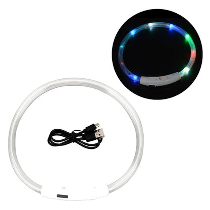 Dog Luminous Charge Collar Led Usb Cat Dogs Collars 3 Modes Detachable Night Led Glow Dog Loss Prevention Collar Pet Accessories