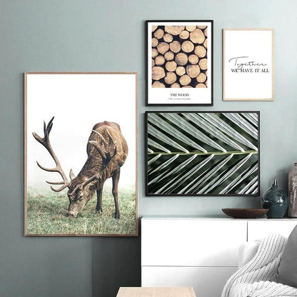 Woodland Story