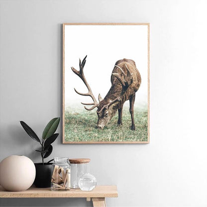 Woodland Story