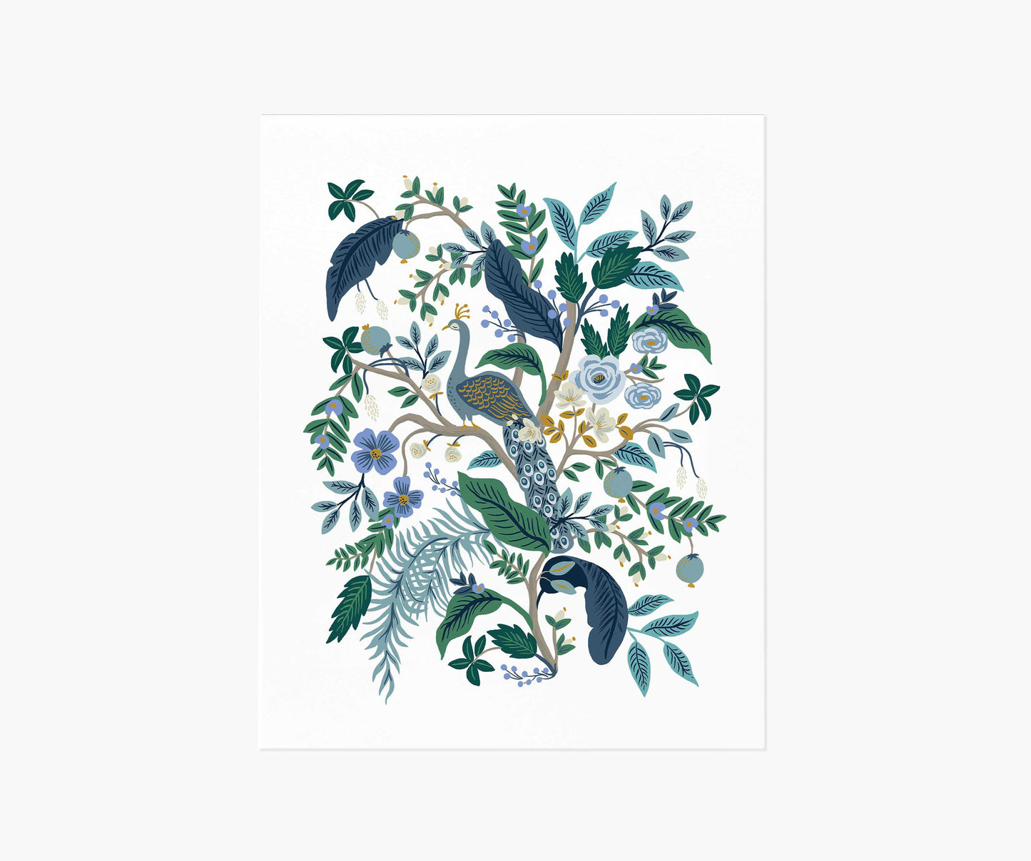 Peacock Art Print