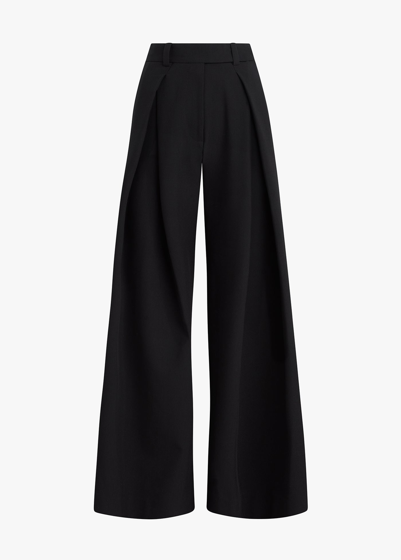 THE PLEATS FOR DAYS PANT