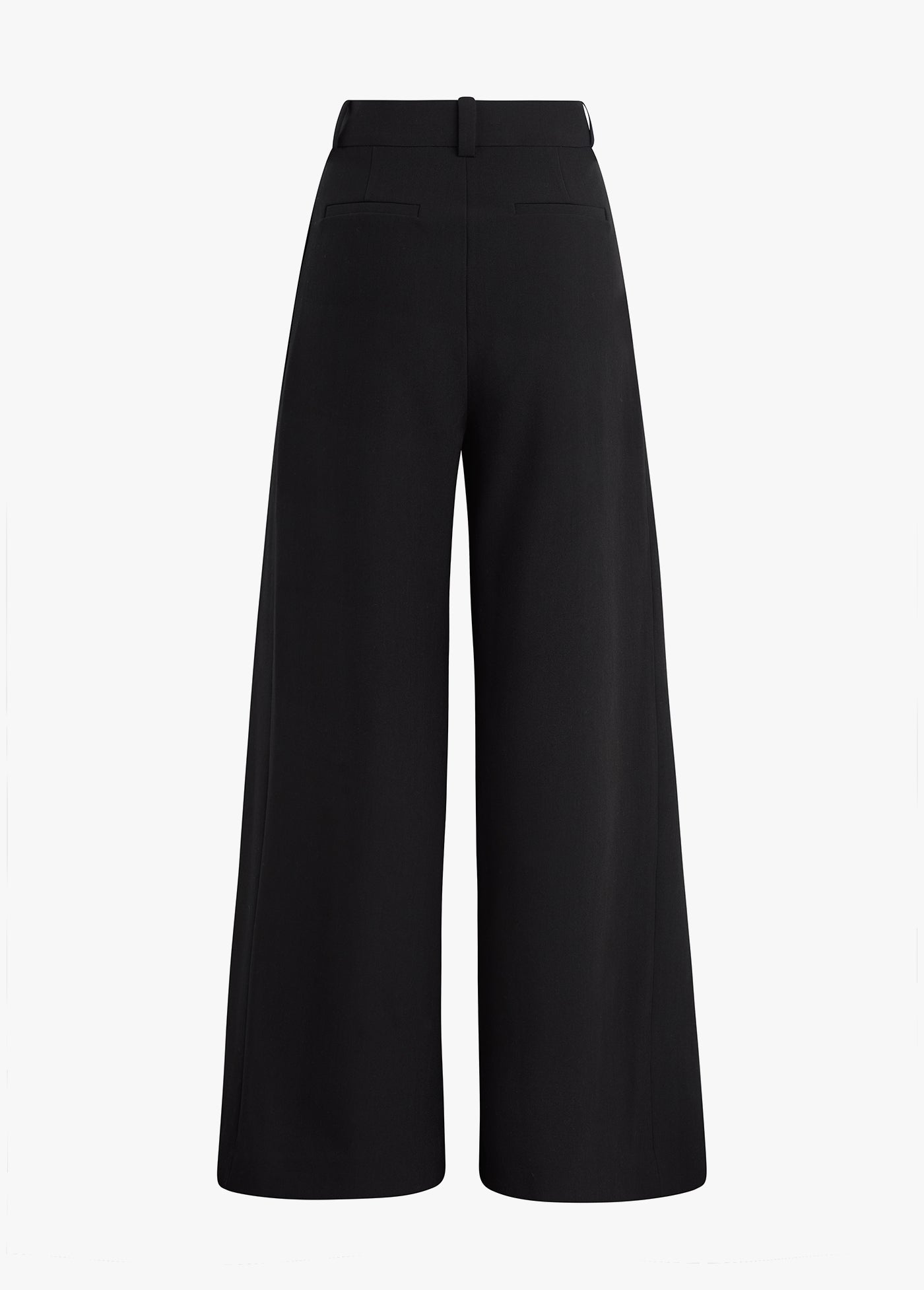 THE PLEATS FOR DAYS PANT