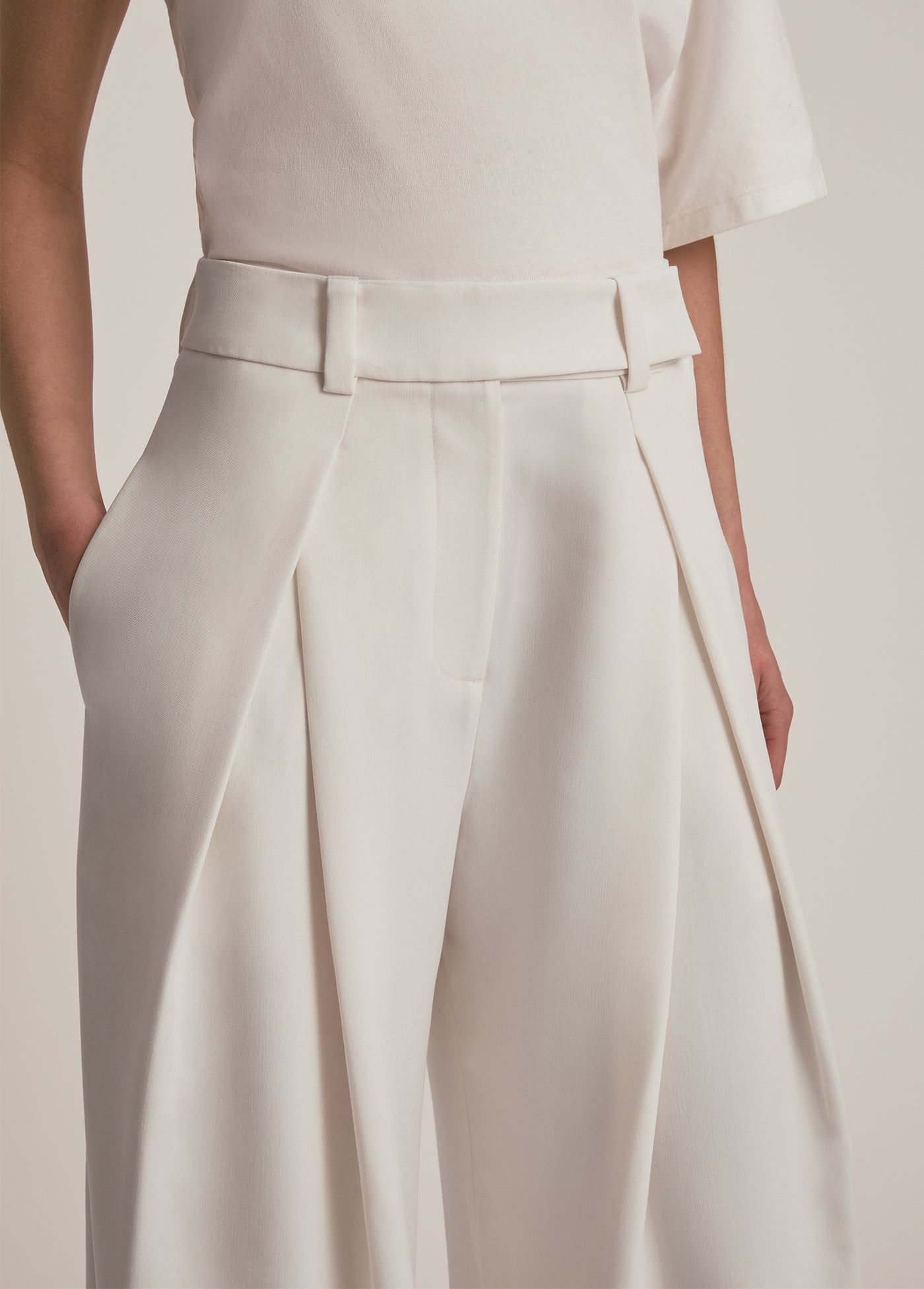 THE PLEATS FOR DAYS PANT