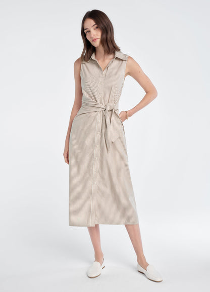THE GOOD BEHAVIOR DRESS