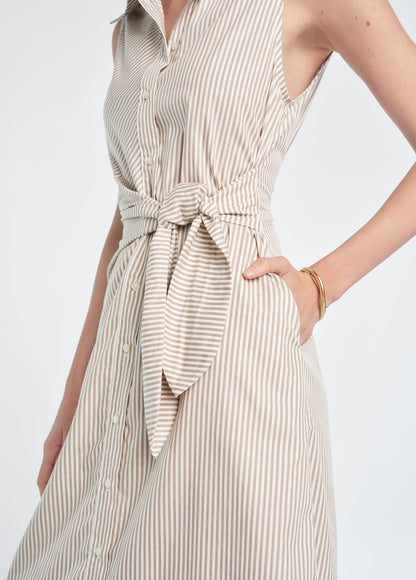 THE GOOD BEHAVIOR DRESS