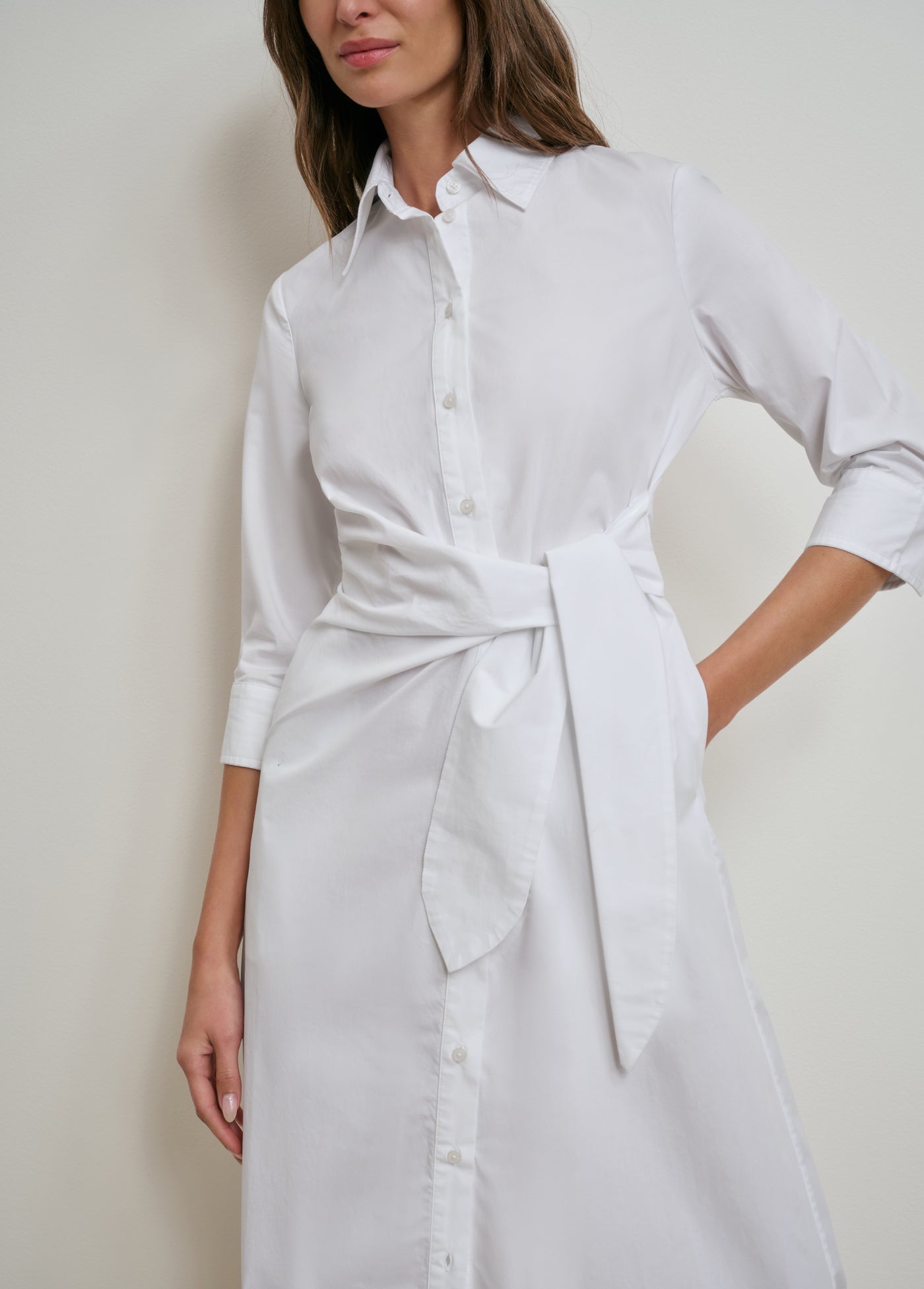 THE WELL MANNERED DRESS