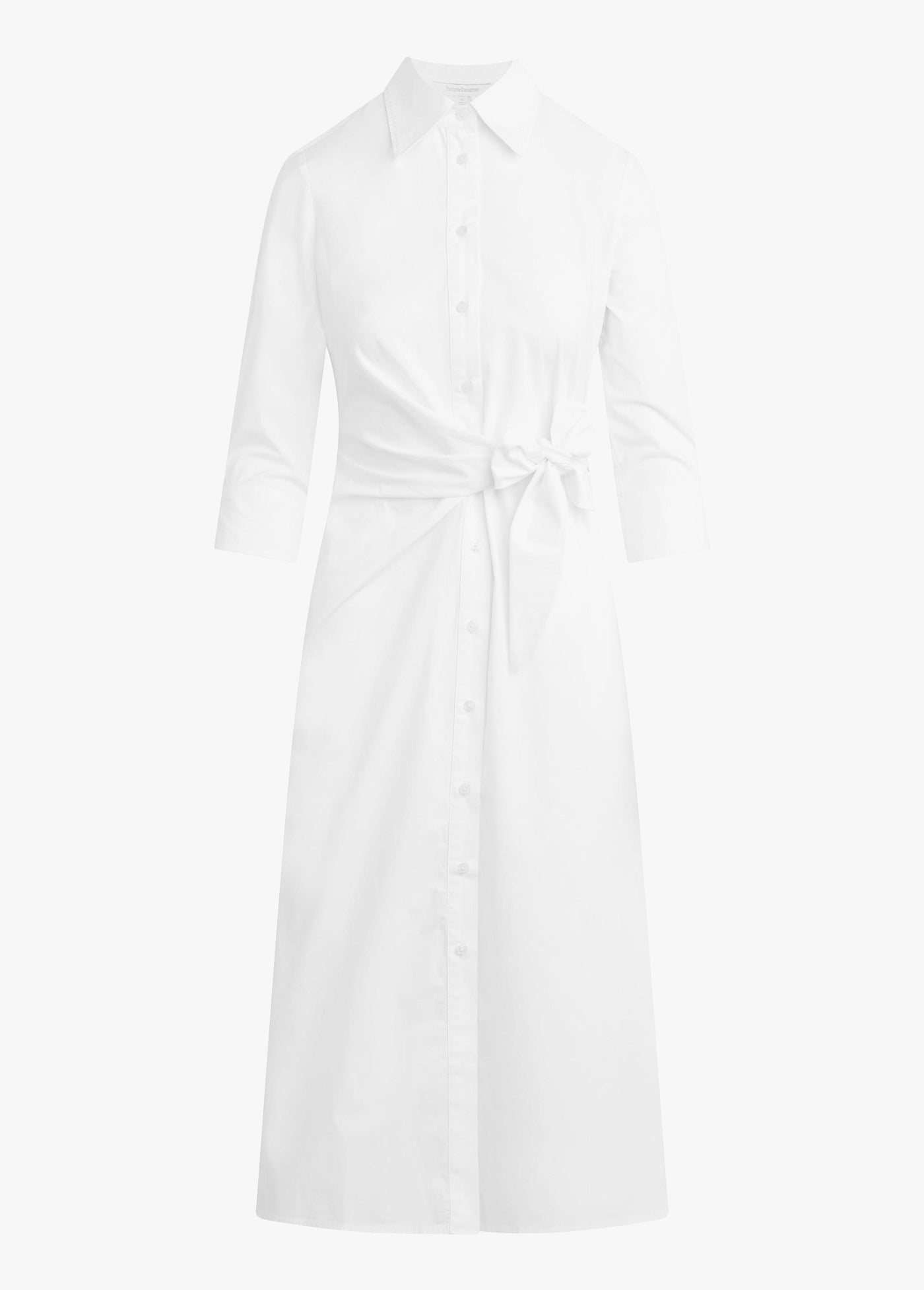 THE WELL MANNERED DRESS
