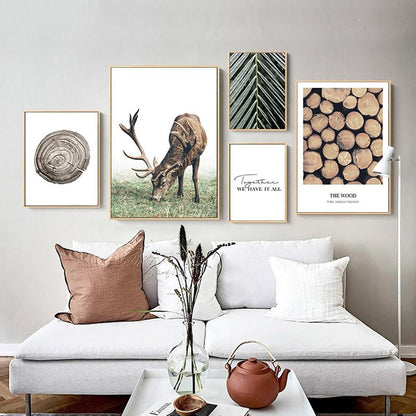 Woodland Story